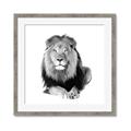 Picture of Lion Black and White _GroupedProduct_Square_Mini_ _GroupedProduct_Square_Framed_Matted_