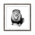 Picture of Lion Black and White _GroupedProduct_Square_Mini_ _GroupedProduct_Square_Framed_Matted_