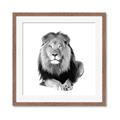 Picture of Lion Black and White _GroupedProduct_Square_Mini_ _GroupedProduct_Square_Framed_Matted_