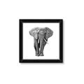 Picture of Elephant Black and White _GroupedProduct_Square_Mini_ _GroupedProduct_Square_Framed_Matted_