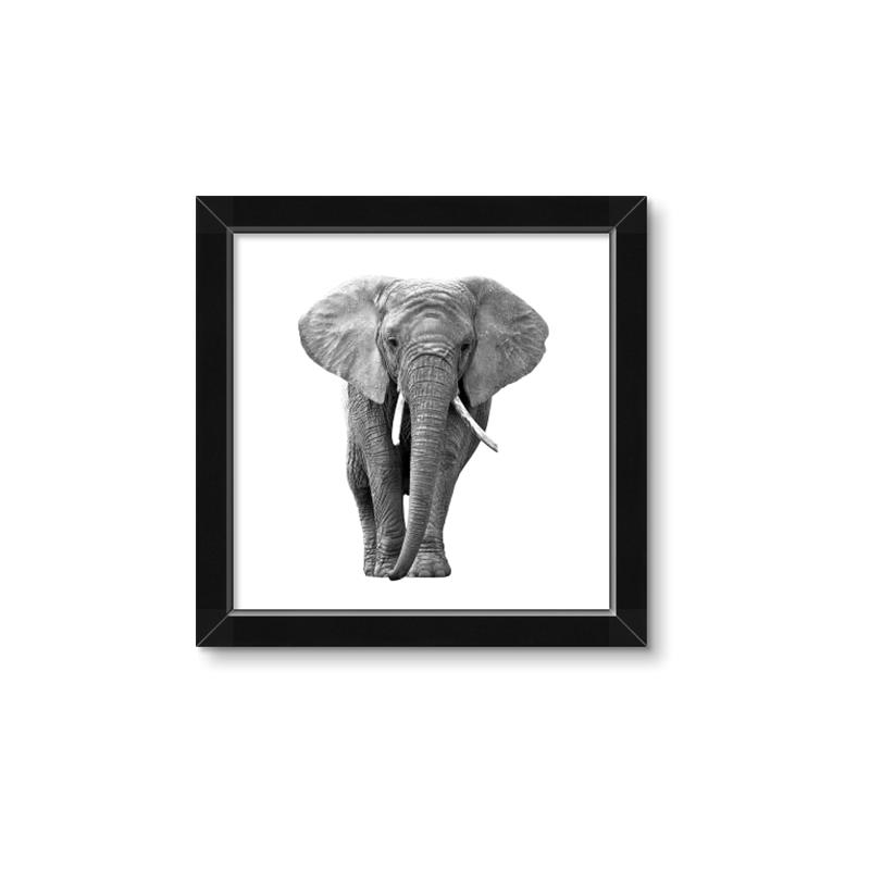 Picture of Elephant Black and White _GroupedProduct_Square_Mini_ _GroupedProduct_Square_Framed_Matted_