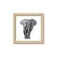 Picture of Elephant Black and White _GroupedProduct_Square_Mini_ _GroupedProduct_Square_Framed_Matted_