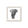 Picture of Elephant Black and White _GroupedProduct_Square_Mini_ _GroupedProduct_Square_Framed_Matted_