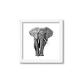 Picture of Elephant Black and White _GroupedProduct_Square_Mini_ _GroupedProduct_Square_Framed_Matted_