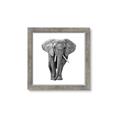 Picture of Elephant Black and White _GroupedProduct_Square_Mini_ _GroupedProduct_Square_Framed_Matted_