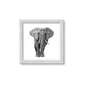 Picture of Elephant Black and White _GroupedProduct_Square_Mini_ _GroupedProduct_Square_Framed_Matted_