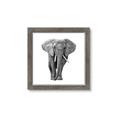Picture of Elephant Black and White _GroupedProduct_Square_Mini_ _GroupedProduct_Square_Framed_Matted_