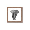 Picture of Elephant Black and White _GroupedProduct_Square_Mini_ _GroupedProduct_Square_Framed_Matted_