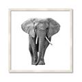 Picture of Elephant Black and White _GroupedProduct_Square_Mini_ _GroupedProduct_Square_Framed_Matted_