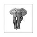 Picture of Elephant Black and White _GroupedProduct_Square_Mini_ _GroupedProduct_Square_Framed_Matted_
