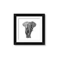 Picture of Elephant Black and White _GroupedProduct_Square_Mini_ _GroupedProduct_Square_Framed_Matted_
