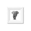 Picture of Elephant Black and White _GroupedProduct_Square_Mini_ _GroupedProduct_Square_Framed_Matted_