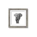 Picture of Elephant Black and White _GroupedProduct_Square_Mini_ _GroupedProduct_Square_Framed_Matted_