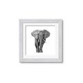 Picture of Elephant Black and White _GroupedProduct_Square_Mini_ _GroupedProduct_Square_Framed_Matted_