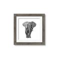 Picture of Elephant Black and White _GroupedProduct_Square_Mini_ _GroupedProduct_Square_Framed_Matted_