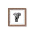 Picture of Elephant Black and White _GroupedProduct_Square_Mini_ _GroupedProduct_Square_Framed_Matted_