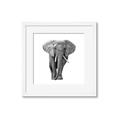 Picture of Elephant Black and White _GroupedProduct_Square_Mini_ _GroupedProduct_Square_Framed_Matted_