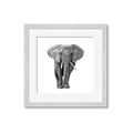 Picture of Elephant Black and White _GroupedProduct_Square_Mini_ _GroupedProduct_Square_Framed_Matted_