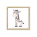 Picture of Baby Zebra  _GroupedProduct_Square_Mini_ _GroupedProduct_Square_Framed_Matted_
