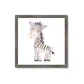 Picture of Baby Zebra  _GroupedProduct_Square_Mini_ _GroupedProduct_Square_Framed_Matted_