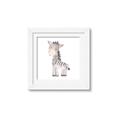 Picture of Baby Zebra  _GroupedProduct_Square_Mini_ _GroupedProduct_Square_Framed_Matted_