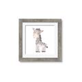 Picture of Baby Zebra  _GroupedProduct_Square_Mini_ _GroupedProduct_Square_Framed_Matted_