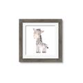 Picture of Baby Zebra  _GroupedProduct_Square_Mini_ _GroupedProduct_Square_Framed_Matted_