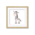 Picture of Baby Zebra  _GroupedProduct_Square_Mini_ _GroupedProduct_Square_Framed_Matted_