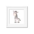 Picture of Baby Zebra  _GroupedProduct_Square_Mini_ _GroupedProduct_Square_Framed_Matted_