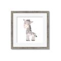 Picture of Baby Zebra  _GroupedProduct_Square_Mini_ _GroupedProduct_Square_Framed_Matted_