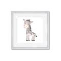 Picture of Baby Zebra  _GroupedProduct_Square_Mini_ _GroupedProduct_Square_Framed_Matted_