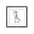 Picture of Baby Zebra  _GroupedProduct_Square_Mini_ _GroupedProduct_Square_Framed_Matted_