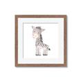 Picture of Baby Zebra  _GroupedProduct_Square_Mini_ _GroupedProduct_Square_Framed_Matted_