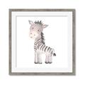 Picture of Baby Zebra  _GroupedProduct_Square_Mini_ _GroupedProduct_Square_Framed_Matted_