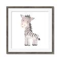 Picture of Baby Zebra  _GroupedProduct_Square_Mini_ _GroupedProduct_Square_Framed_Matted_