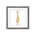 Picture of Standing Tall Giraffe _GroupedProduct_Square_Mini_ _GroupedProduct_Square_Framed_Matted_