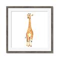 Picture of Standing Tall Giraffe _GroupedProduct_Square_Mini_ _GroupedProduct_Square_Framed_Matted_