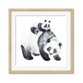 Picture of Mom and Baby Panda _GroupedProduct_Square_Mini_ _GroupedProduct_Square_Framed_Matted_