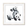 Picture of Mom and Baby Panda _GroupedProduct_Square_Mini_ _GroupedProduct_Square_Framed_Matted_