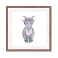Picture of Farm Goat _GroupedProduct_Square_Mini_ _GroupedProduct_Square_Framed_Matted_