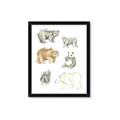 Picture of Bears _GroupedProduct_Rectangle_Portrait_Mini_ _GroupedProduct_Rectangle_Portrait_Framed_Matted_