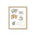 Picture of Bears _GroupedProduct_Rectangle_Portrait_Mini_ _GroupedProduct_Rectangle_Portrait_Framed_Matted_