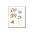 Picture of Bears _GroupedProduct_Rectangle_Portrait_Mini_ _GroupedProduct_Rectangle_Portrait_Framed_Matted_