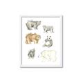 Picture of Bears _GroupedProduct_Rectangle_Portrait_Mini_ _GroupedProduct_Rectangle_Portrait_Framed_Matted_