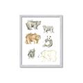 Picture of Bears _GroupedProduct_Rectangle_Portrait_Mini_ _GroupedProduct_Rectangle_Portrait_Framed_Matted_