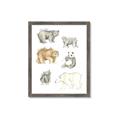 Picture of Bears _GroupedProduct_Rectangle_Portrait_Mini_ _GroupedProduct_Rectangle_Portrait_Framed_Matted_