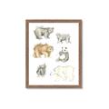 Picture of Bears _GroupedProduct_Rectangle_Portrait_Mini_ _GroupedProduct_Rectangle_Portrait_Framed_Matted_