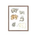 Picture of Bears _GroupedProduct_Rectangle_Portrait_Mini_ _GroupedProduct_Rectangle_Portrait_Framed_Matted_