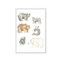 Picture of Bears _GroupedProduct_Rectangle_Portrait_Mini_ _GroupedProduct_Rectangle_Portrait_Framed_Matted_