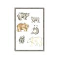 Picture of Bears _GroupedProduct_Rectangle_Portrait_Mini_ _GroupedProduct_Rectangle_Portrait_Framed_Matted_